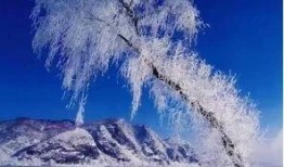 美景爆料视频,揭秘热门美景爆料视频背后的惊艳瞬间